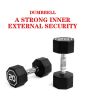 20LB×2 pieces per package apollo Dumbbell for both commercial and home usage High-end Coated Octagon Dumbbell