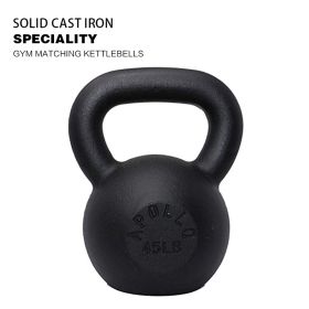 45lb×1piece Powder Coated Cast Iron Kettlebell for Men and Women's Gym, Same Family Kettlebell