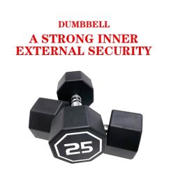 25LB×2 pieces per package apollo Dumbbell for both commercial and home usage High-end Coated Octagon Dumbbell