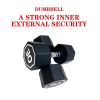 30LB×2 pieces per package apollo Dumbbell for both commercial and home usage High-end Coated Octagon Dumbbell