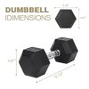 25LB×1piece HDRS Rubber Coated Solid Cast Iron Dumbbell with Contoured Chrome Handle, Hexagon Head