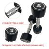 5LB ×2 pieces per package apollo Dumbbell for both commercial and home usage High-end Coated Octagon Dumbbell
