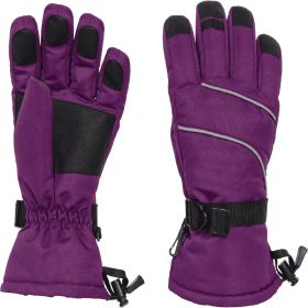 Only Supports Self Pickup  Women's Ski Gloves Waterproof Insulated Snow Gloves With Touch Screen (Option: Purp leLarge)