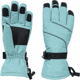 Only Supports Self Pickup  Women's Ski Gloves Waterproof Insulated Snow Gloves With Touch Screen (Option: Teal Large)